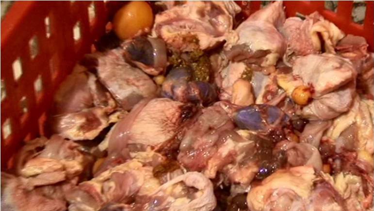 خمیر مرغ چیست و چگونه تهیه می‌شود؟