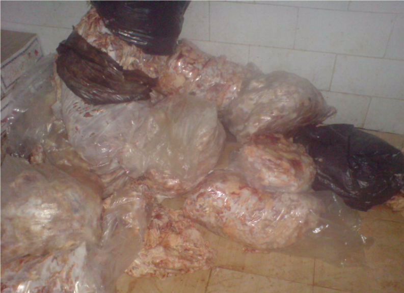 1410958109507_35140935382631647637