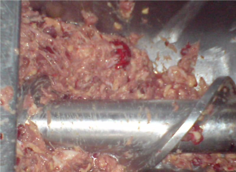 1410958110209_35557019935028228709