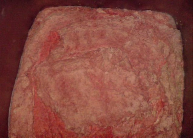 1410958111021_81538379658090689229