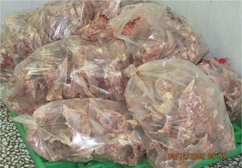 1410958112456_91296760623973940559