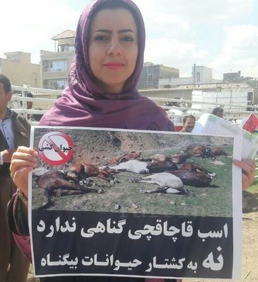 عکس/ تصویر متفاوت در سفر روحانی به ارومیه