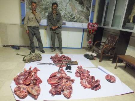 دو شکارچی متخلف در جلفا دستگیر شدند