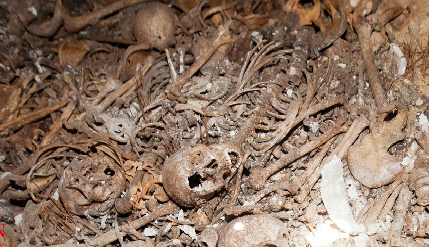 جزئیات تازه از پیدا شدن استخوان های قدیمی در تبریز