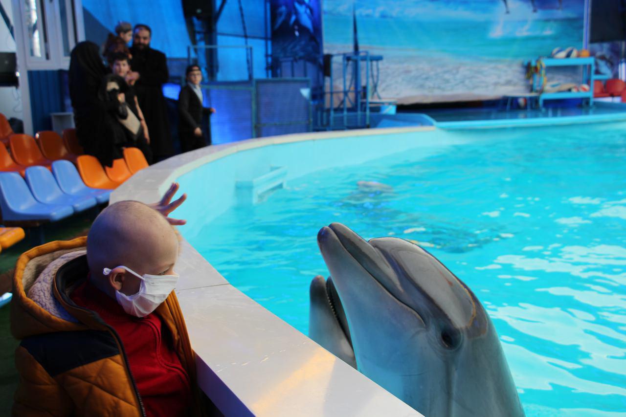 دلفین های شاد در خدمت کودکان مبتلا به سرطان در تبریز