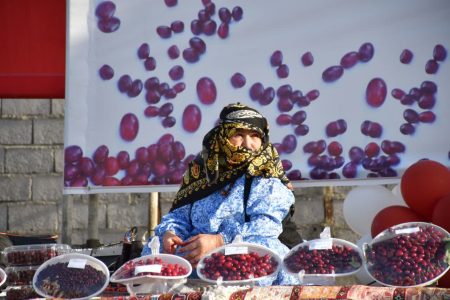 تولید بیش از ۲ هزار تن زغال اخته در آذربایجان‌شرقی