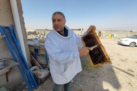 تولید سالانه ۶۱۸ تن عسل در شهرستان تبریز