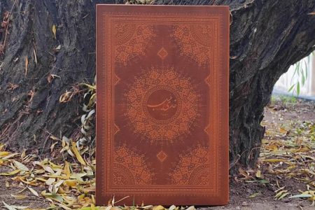 کتاب نفیس «خاری بلبل» منتشر شد